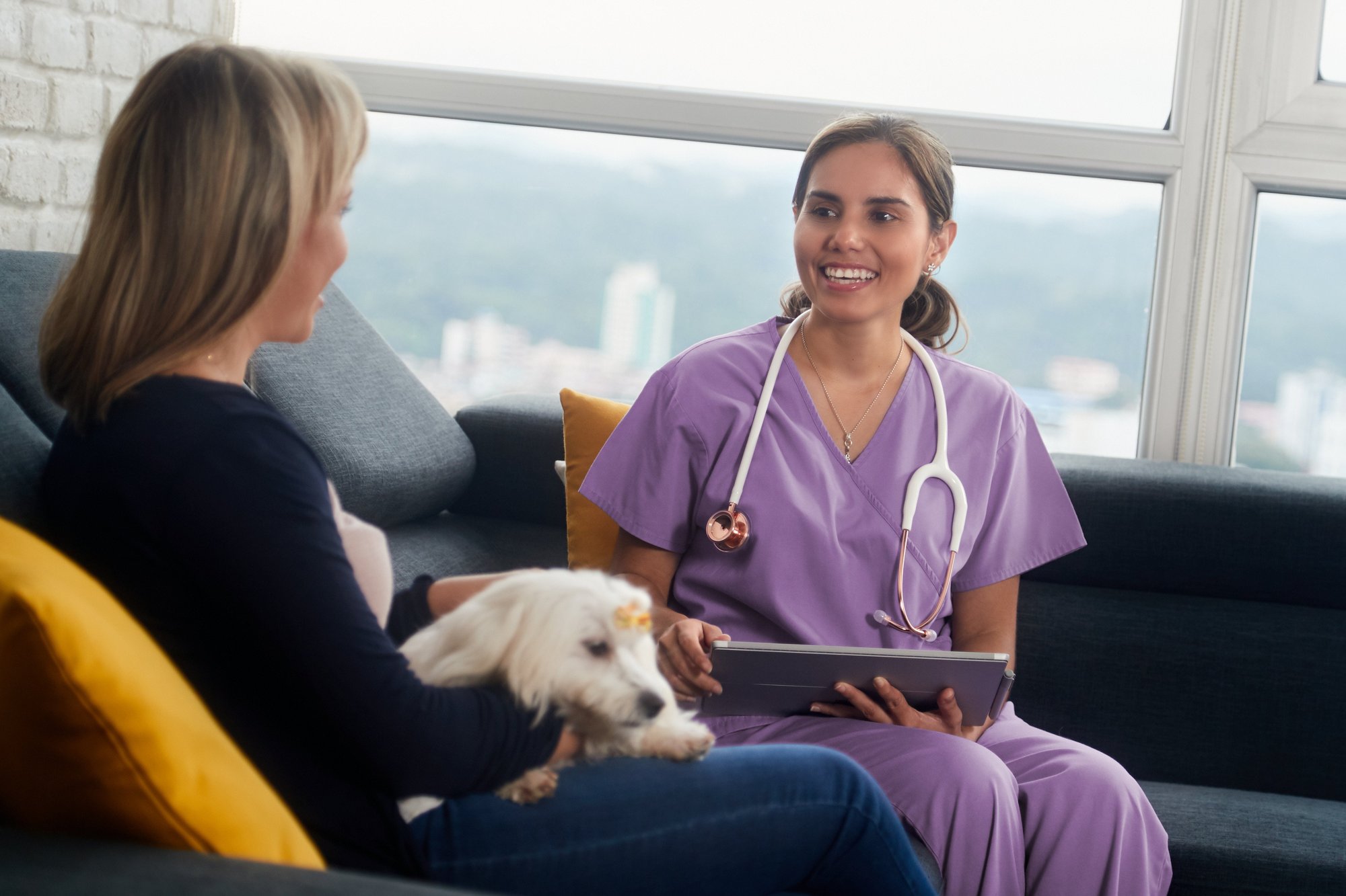 Vet using a tablet with customer