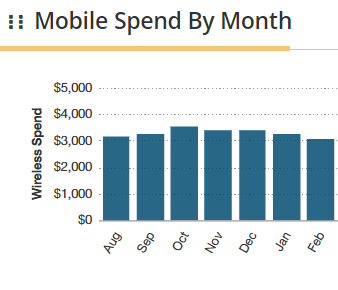 vManager mobile spend by month chart_Resized